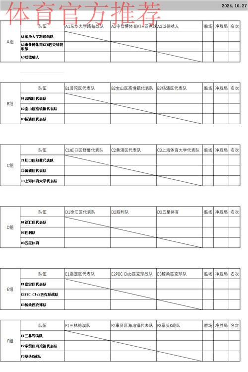上海市民运动会匹克球项目总决赛举行 上海市民运动会匹克球项目总决赛举行